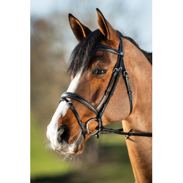 Bridon HFI Elegante