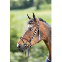 Bridon HFI Regular Nero