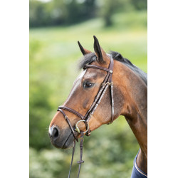 Bridon HFI Regular Marrone
