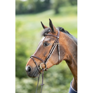 Bridon HFI Regular Marrone