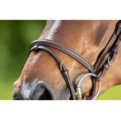 Bridon HFI Regular Marrone