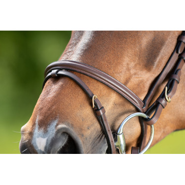 Bridon HFI Regular Marrone