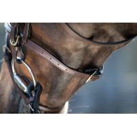 Bridon HFI Regular Nero