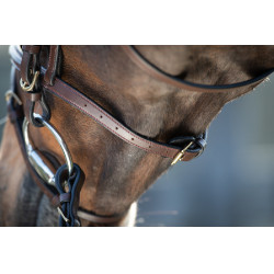 Bridon HFI Regular Marrone