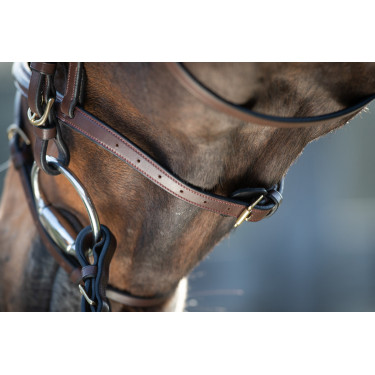 Bridon HFI Regular Marrone