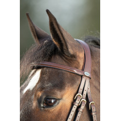 Bridon HFI Regular Marrone