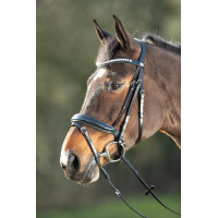 Briglia Shiny HFI Nero