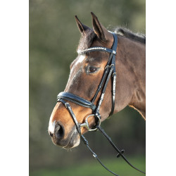 Briglia Shiny HFI