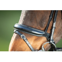 Briglia Shiny HFI Nero Briglia Shiny HFI Nero