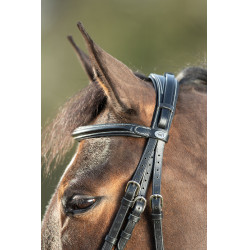 Bridon Technical HFI Nero