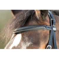 Bridon Technical HFI Nero