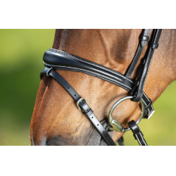 Bridon Technical HFI Nero