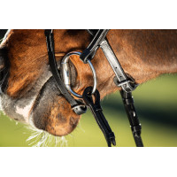 Bridon Techno HFI Nero