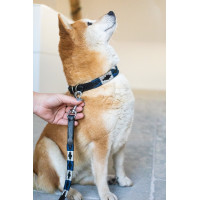 Collare per cane Polo HFI Nero / blu navy / argento Motivi