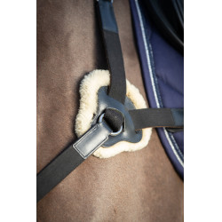 Pettorale a 5 punti HFI Nero Pettorale a 5 punti HFI Nero