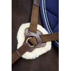 Pettorale a 5 punti HFI Marrone