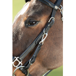 Kombination Trense / Halfter HFI Nero