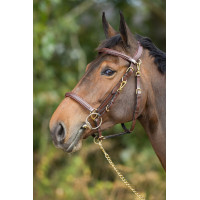 Kombination Trense / Halfter HFI Nero