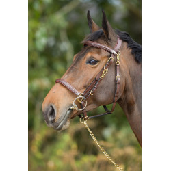 Kombination Trense / Halfter HFI Marrone