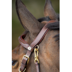 Kombination Trense / Halfter HFI Marrone