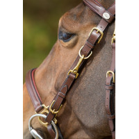 Kombination Trense / Halfter HFI Nero