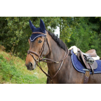 Redini Thiedeman HFI Marrone