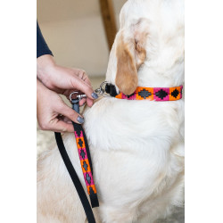 Guinzaglio per cane Polo HFI Guinzaglio per cane Polo HFI