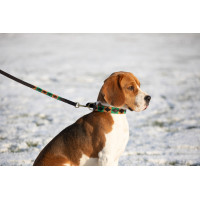 Guinzaglio per cane Polo HFI Marrone / smeraldo / ocra Motivi Guinzaglio per cane Polo HFI Marrone / smeraldo / ocra Motivi