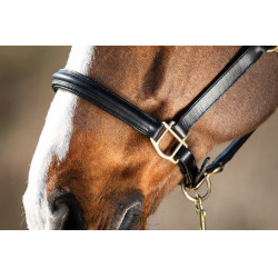 Capezzina bombata HFI Nero Capezzina bombata HFI Nero