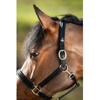 Capezzina bombata HFI Nero Capezzina bombata HFI Nero