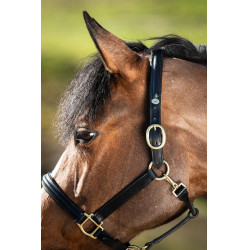 Capezzina bombata HFI Nero Capezzina bombata HFI Nero