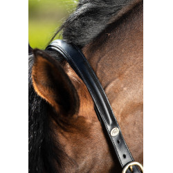 Capezzina bombata HFI Nero Capezzina bombata HFI Nero