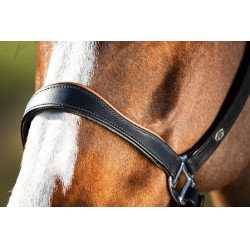 Capestro in cuoio HFI bicolore Nero / cognac