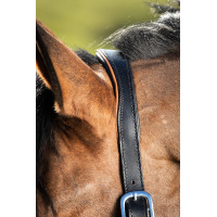 Capestro in cuoio HFI bicolore Nero / cognac