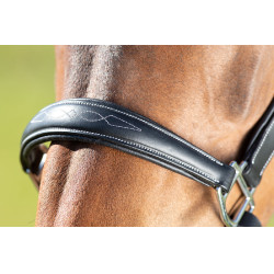 Capestro da toelettatura HFI Nero