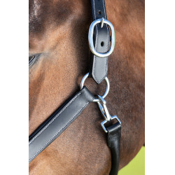 Capestro da toelettatura HFI Nero