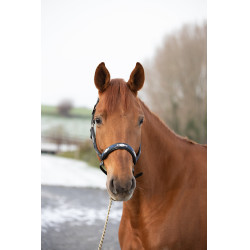 Capezza HFI Polo Nero / blu navy / argento Motivi Capezza HFI Polo Nero / blu navy / argento Motivi