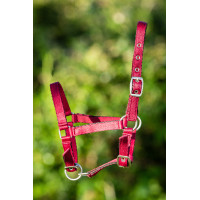 Capezzina in nylon HFI puledro Bordeaux