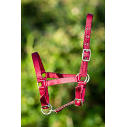 Capezzina in nylon HFI puledro