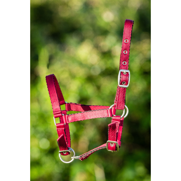Capezzina in nylon HFI puledro