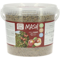 Mash Hippotonic