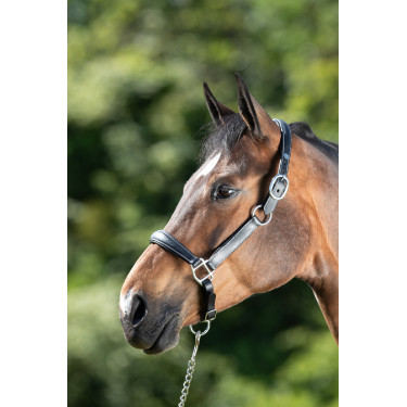 Capestro da toelettatura HFI Nero