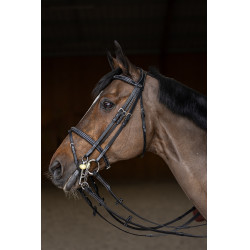 Briglia da salto HFI Master double jump