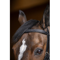 Briglia da salto HFI Master double jump Nero Briglia da salto HFI Master double jump Nero