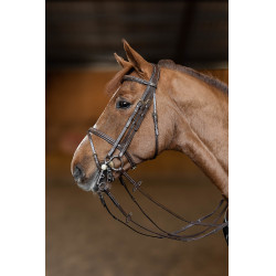 Briglia da salto HFI Master double jump
