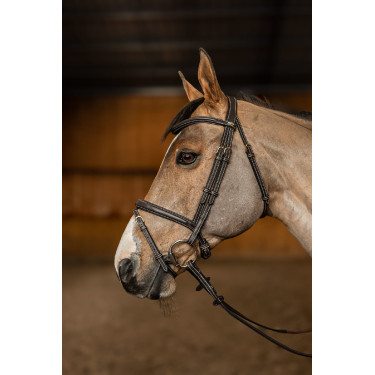 Briglia Combinata Flex HFI Master Marrone Briglia Combinata Flex HFI Master Marrone