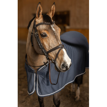 Briglia Combinata Flex HFI Master Marrone Briglia Combinata Flex HFI Master Marrone