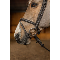 Briglia Combinata Flex HFI Master Marrone Briglia Combinata Flex HFI Master Marrone