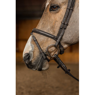 Briglia Combinata Flex HFI Master Marrone Briglia Combinata Flex HFI Master Marrone