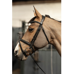 Briglia combinata Milano HFI Master Pro Line Nero / argento